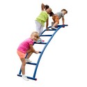 Arch Ladder