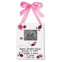 Photo Ladybug Birth Certificate