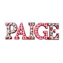 Ladybugs & Gingham  Block Letters