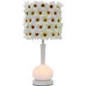 Aladin Lamp