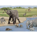 African Safari Stretched Art
