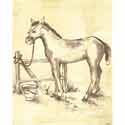 Toile Horse Canvas Wall Art 