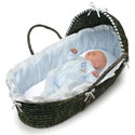 Espresso Moses Basket with Blue Gingham Bedding