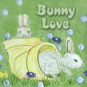 Bunnies and Bears