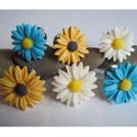 Petite Daisy Furniture Knob