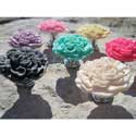 Peony Flower Furniture Knob