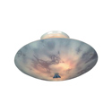 Butterfly Flush Mount Light