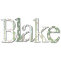 Blake's Pattern Wall Letters