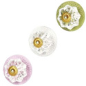 Circle Knobs