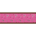 Bandana Wallpaper Border