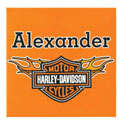 Harley Davidson� Personalized Canvas Art