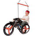 Motorcycle Tire Swing
