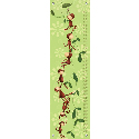 Monkey Around Growth Chart