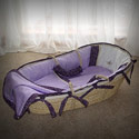 Butterfly Friends Moses Basket