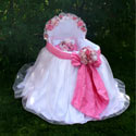 Nicolette Bassinet