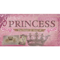 Princess the Fairest of them All Artwork