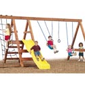 Pioneer Swing Set - Project 556