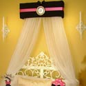 Princess Hot Pink and Black Canopy