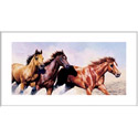 Wild and Free Wall Art