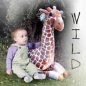 Jungle Animals n' More